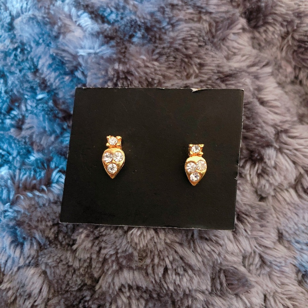 NEW Golden Earrings